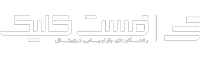 توسعه دهنده وردپرس
